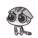 angrycat Discord emoji