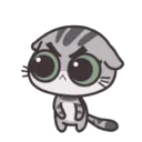 angrycat angrycat