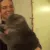 kitty