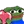 pepelove