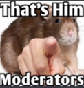 ThatsHimMods