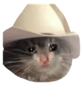sad_yeehaw