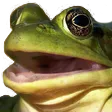 mrhgFrogChamp mrhgFrogChamp