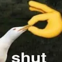 shut