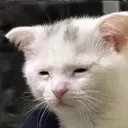 tired