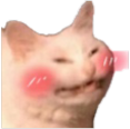 blushing_cat blushing_cat