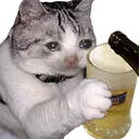 cattocryingbeer