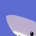 sharklub1