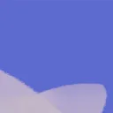 sharklub2