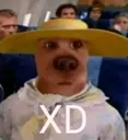 XD