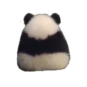 imangy