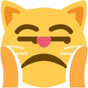 catnotveryhappy