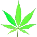 marry_jane
