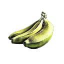 MuseFruit MuseFruit