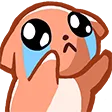 cat_cry