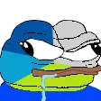 feelsnexon feelsnexon