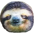 SeriousSloth