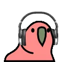 headsetparrot