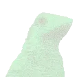 BirbPingAnger