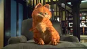Garfield Garfield