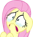 Fluttercry Discord Emoji