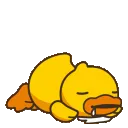 DuckSleeping
