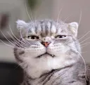 1_