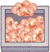 i_shrimp