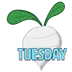 turnip
