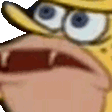 SpongeGarShake