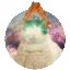 gatodaisytripping