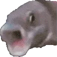 OOO