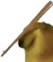bonk