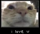 iloveu