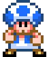 toadDance