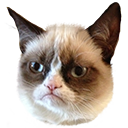 705064970601103481.webp