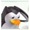 ohnowhathaveidone