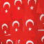 turk1