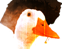 spikequack Discord emoji