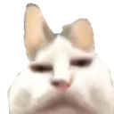 Bruhcat bruhcat Discord Emoji