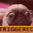 pugreee