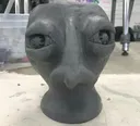 TheHead