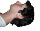 yandevup