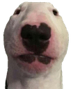 walter