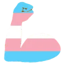 TransMuscleL TransMuscleL