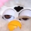 furb furb