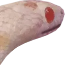 confusedcorn confusedcorn