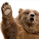 heybear