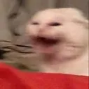 AAAAAAAAAA
