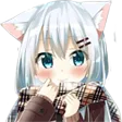 Shy Shy